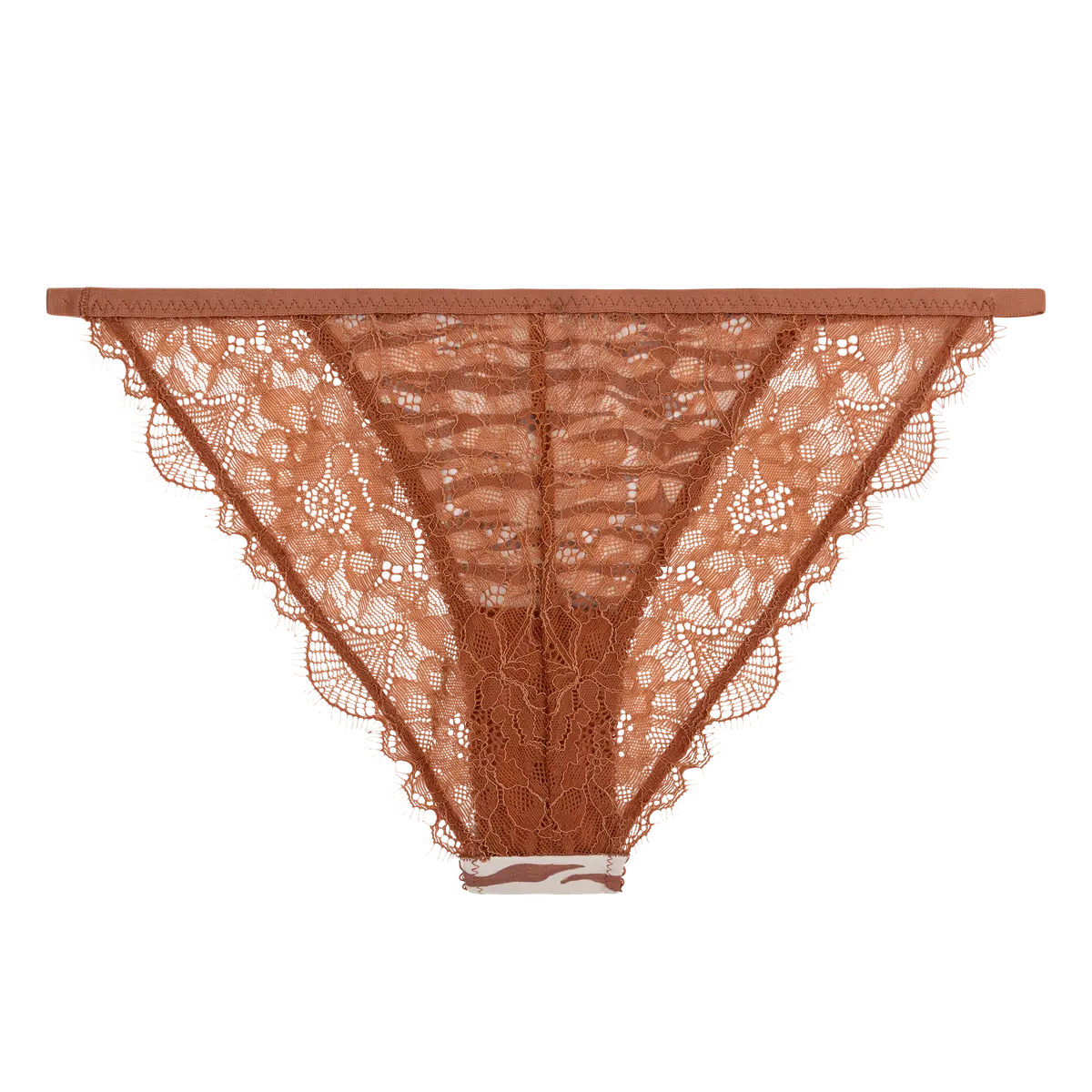 Wild Rose Comfortable Lace Briefs - Brown