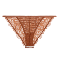 Wild Rose Comfortable Lace Briefs - Brown