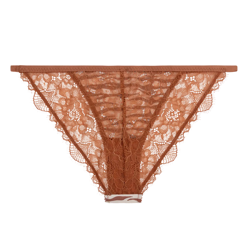 Wild Rose Comfortable Lace Briefs - Brown